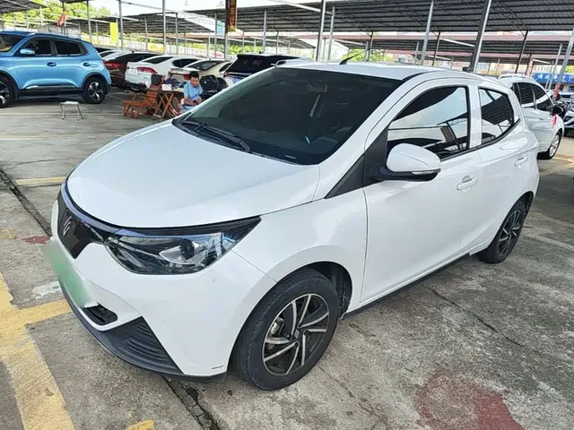 JMCG New Energy Little Kirin 2023 Model Lucky Edition 201km Luxury