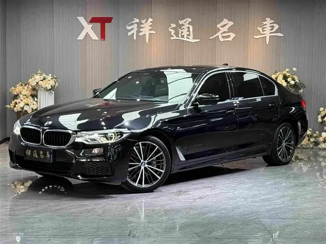 BMW 5 Series 2020 530Li Leading M Sport Package