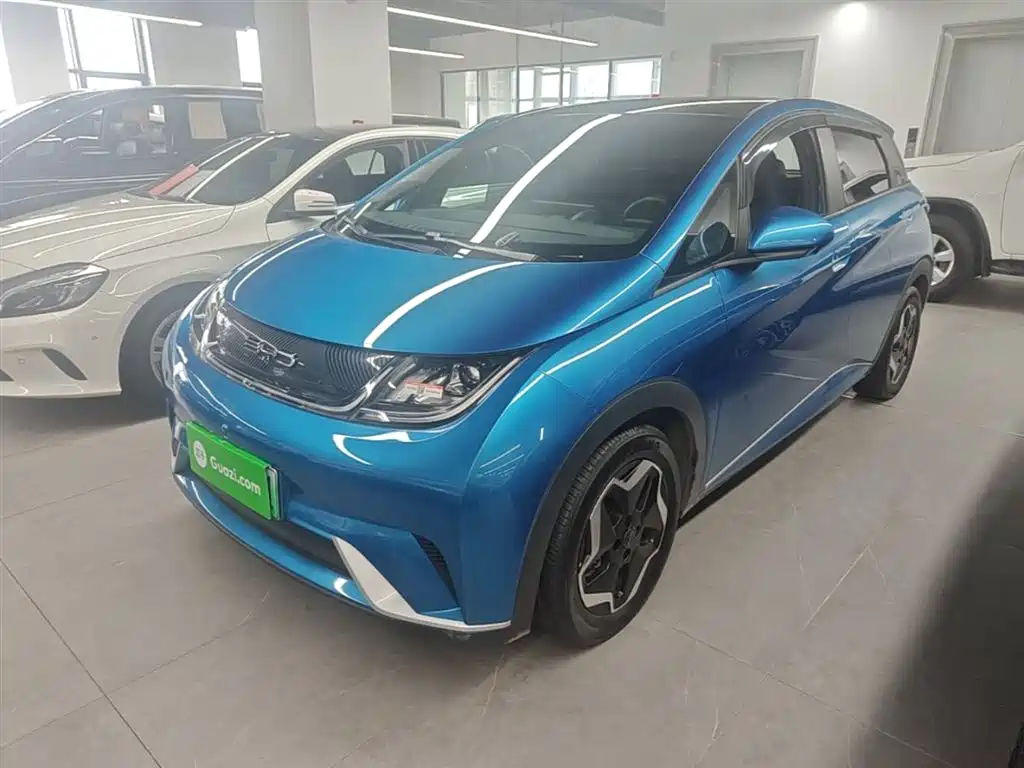 BYD Dolphin 2021 Model 405km Fashion Edition