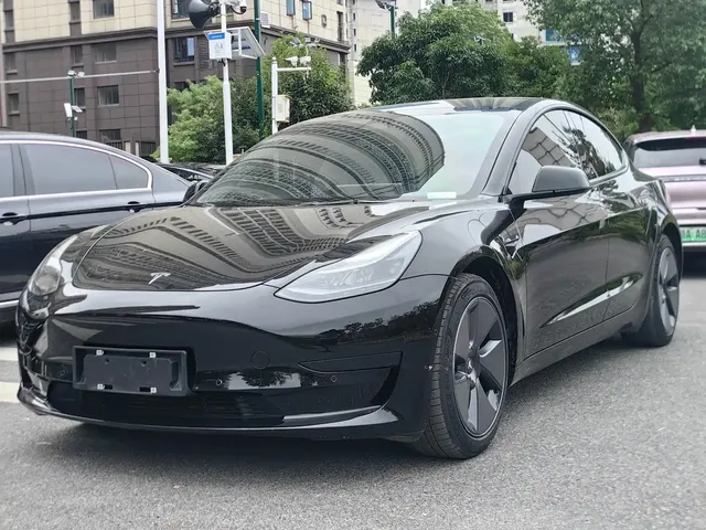 Tesla Model 3 2022 Model Rear-Wheel Drive Version