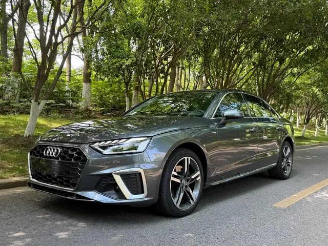 Audi A4L 2020 40 TFSI Luxury Dynamic