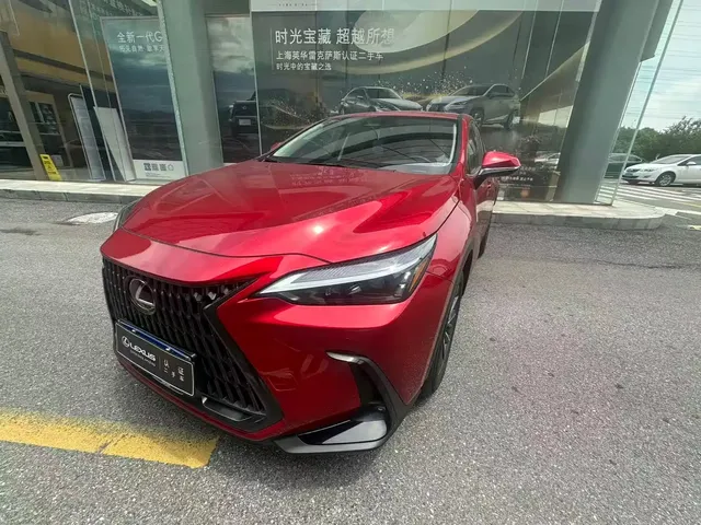 Lexus NX 2025 Model 200 Base Version