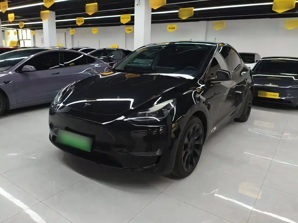 Tesla Model Y 2021 Standard Range Rear-Wheel Drive