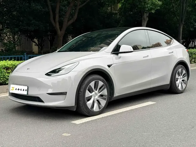 Tesla Model Y 2021 Standard Range Rear-Wheel Drive