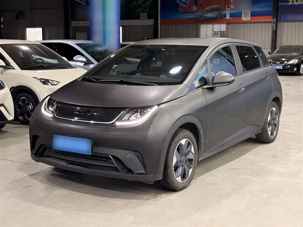BYD Dolphin 2025 420km Freedom Edition