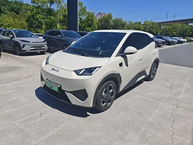 BYD Seagull 2025 Smart Drive Edition 305km Freedom Version