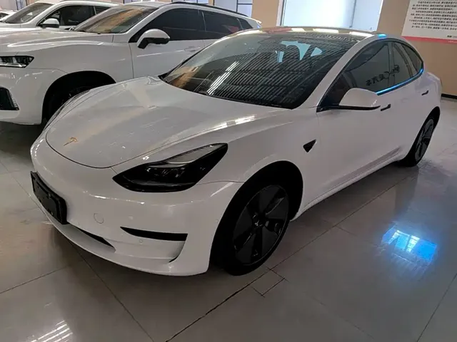Tesla Model 3 2021 Standard Range Rear-Wheel Drive Upgrade