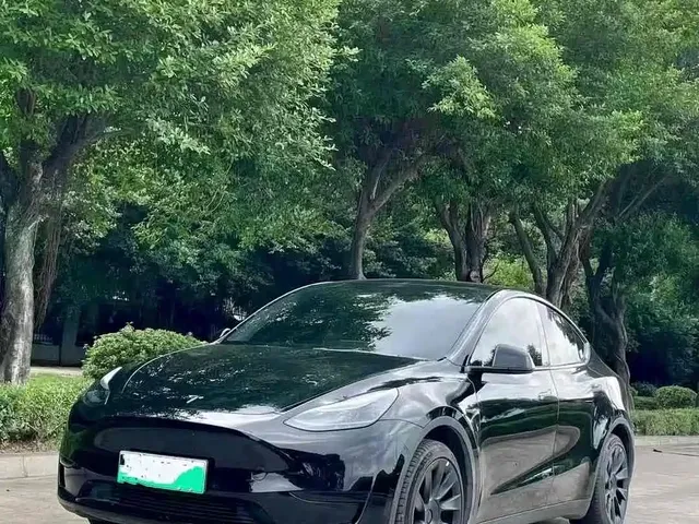 Tesla Model Y 2024 Rear-Wheel Drive Version