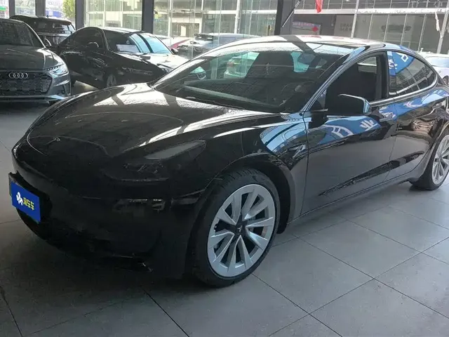 Tesla Model 3 2022 Model Rear-Wheel Drive Version