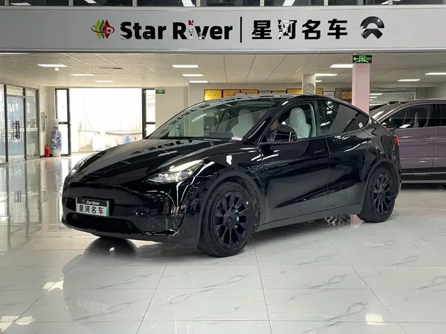 Tesla Model Y 2022 Rear-Wheel Drive Version
