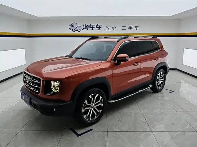 Haval Big Dog 2021 1.5T DCT 2WD Border Collie Edition