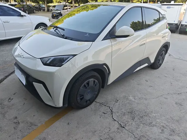 BYD Seagull 2024 Glory Edition 305km Vitality Edition