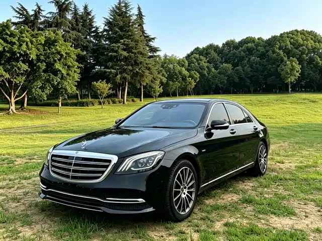 Mercedes-Benz S-Class 2018 S 350 L