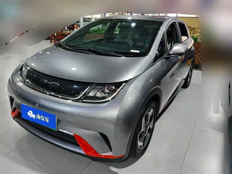 BYD Dolphin 2021 405km Freedom Edition