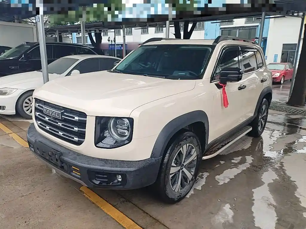 Haval Big Dog 2024 1.5T DCT Border Collie Edition