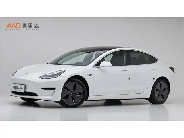 Tesla Model 3 2020 Standard Range Rear-Wheel Drive Upgrade