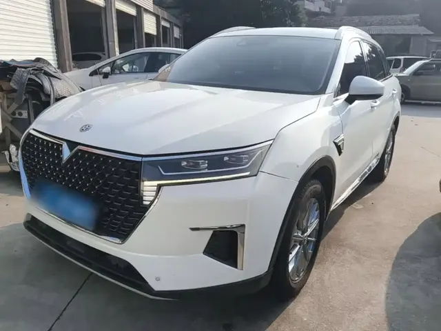 Venucia Star 2020 260T Automatic 48V Mild Hybrid Turbo Star Enjoy Edition