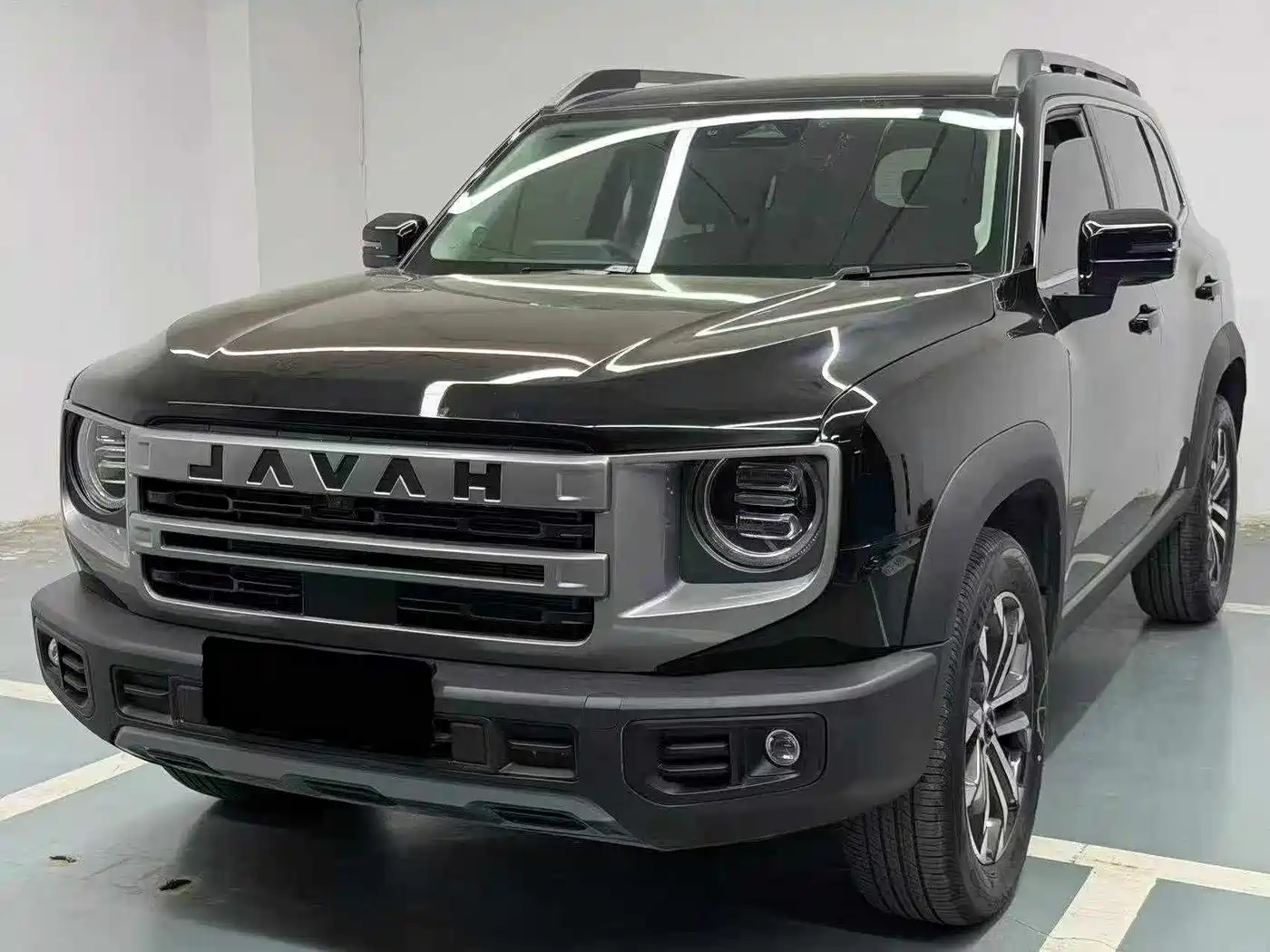 Haval Big Dog 2024 1.5T DCT Border Collie Edition