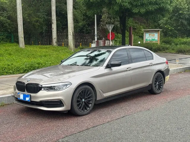 BMW 5 Series 2020 530Li Premium Luxury Package