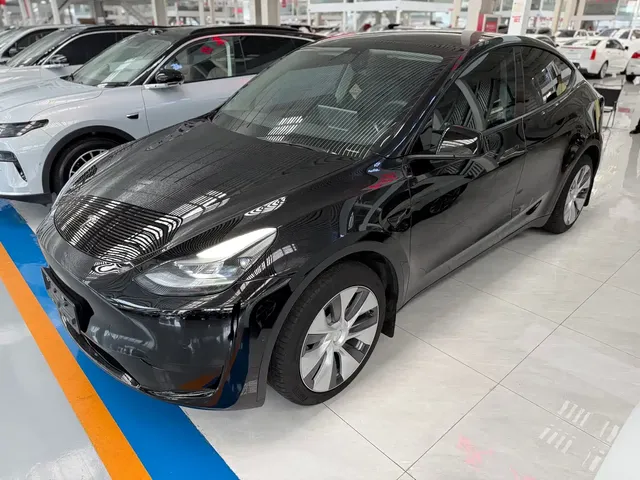 Tesla Model Y 2022 Rear-Wheel Drive Version