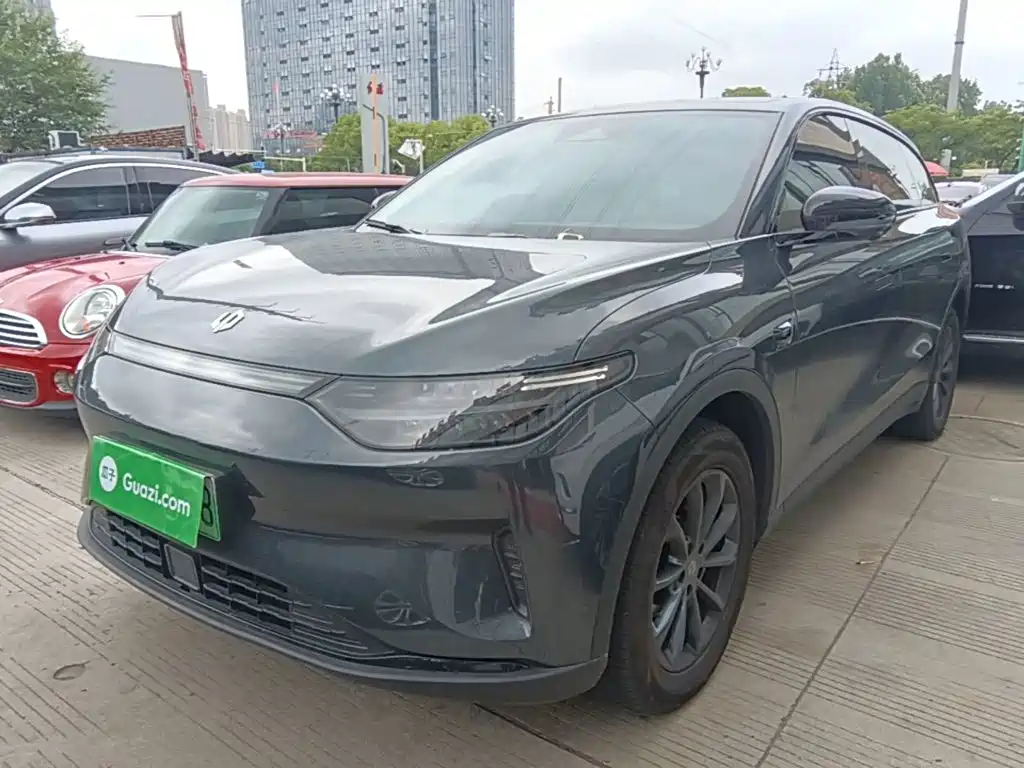 Leapmotor C11 2023 Pure Electric 500 Comfort Edition