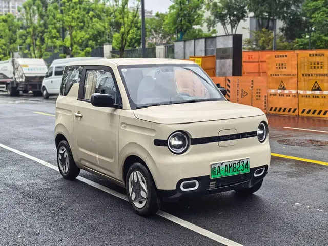 Geely Galaxy Panda 2025 Panda mini 210km Vitality Bear