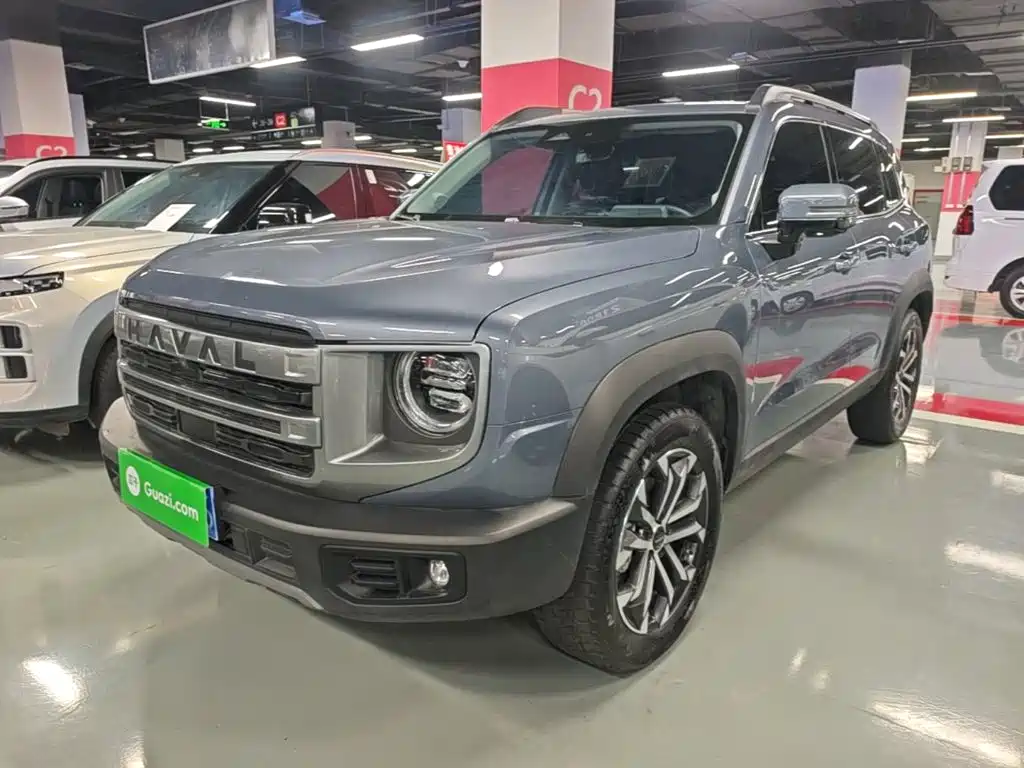 Haval Big Dog 2024 1.5T DCT Border Collie Edition