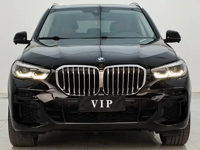 BMW X5 2022 xDrive 30Li M Sport Package