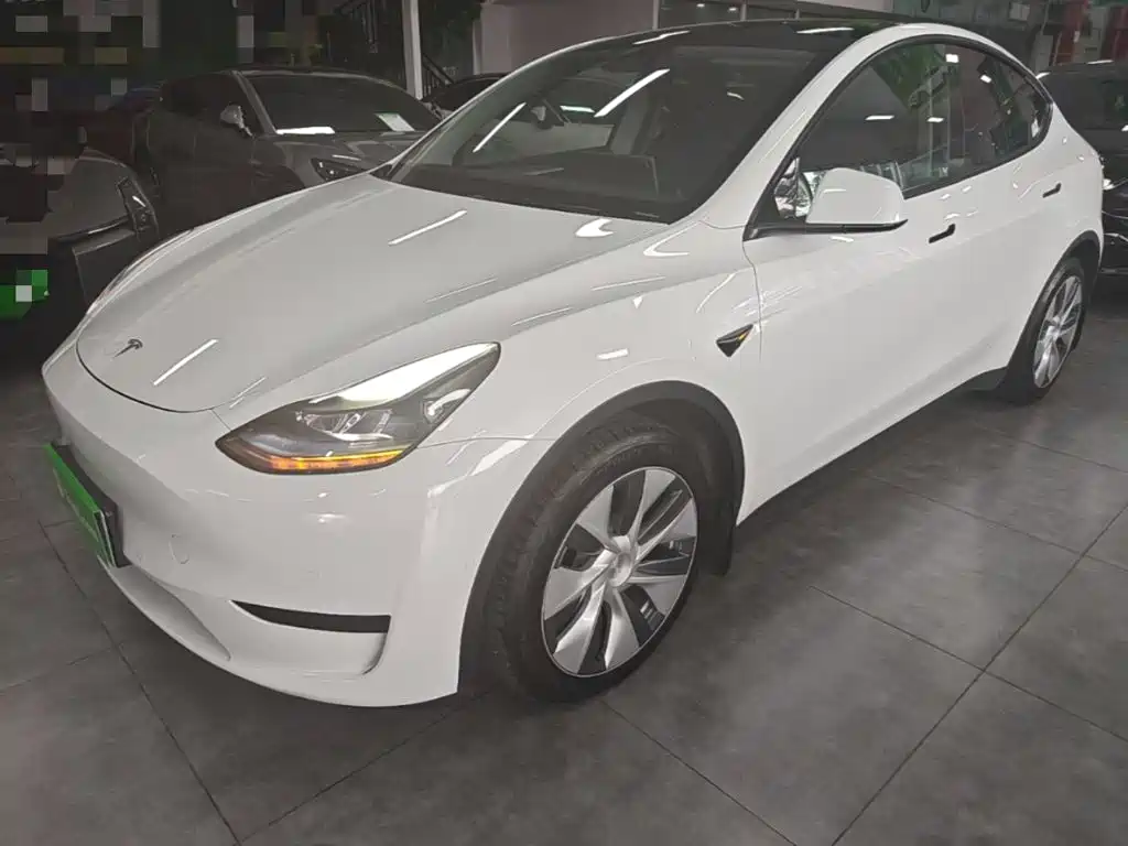 Tesla Model Y 2022 Rear-Wheel Drive Version