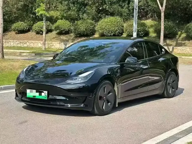 Tesla Model 3 2021 Facelift Standard Range RWD Upgrade 3D1