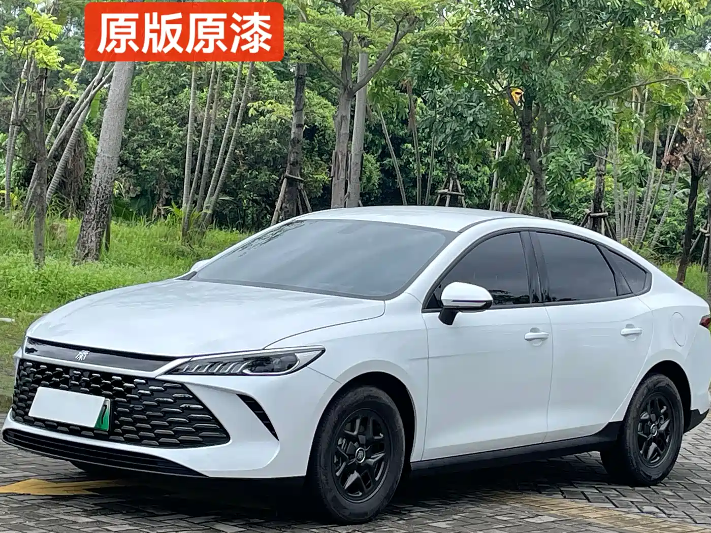 BYD Qin PLUS 2025 DM-i Smart Drive 55KM Leader
