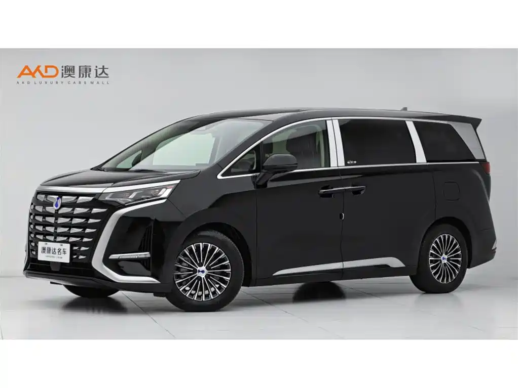 Denza D9 2024 DM-i 980 AWD Premium