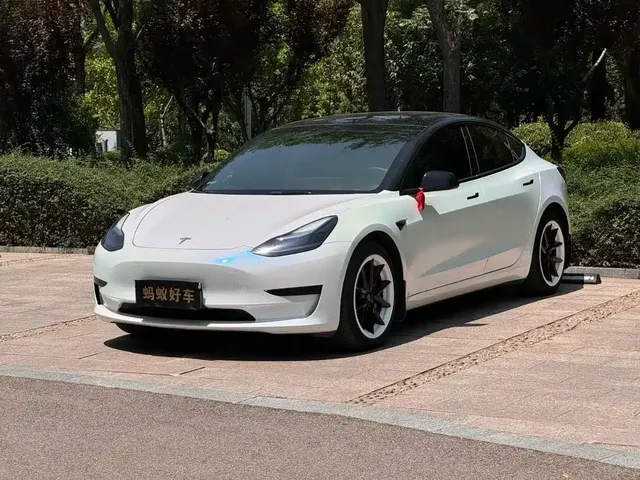 Tesla Model 3 2022 Model Rear-Wheel Drive Version