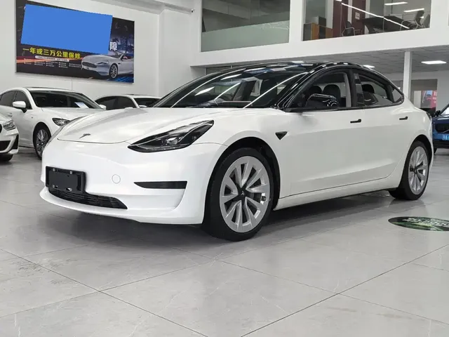 Tesla Model 3 2021 Standard Range Rear-Wheel Drive Upgrade
