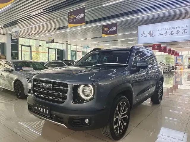 Haval Big Dog 2021 1.5T DCT 2WD Border Collie Edition