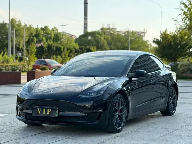 Tesla Model 3 2021 Performance High-Performance All-Wheel Drive