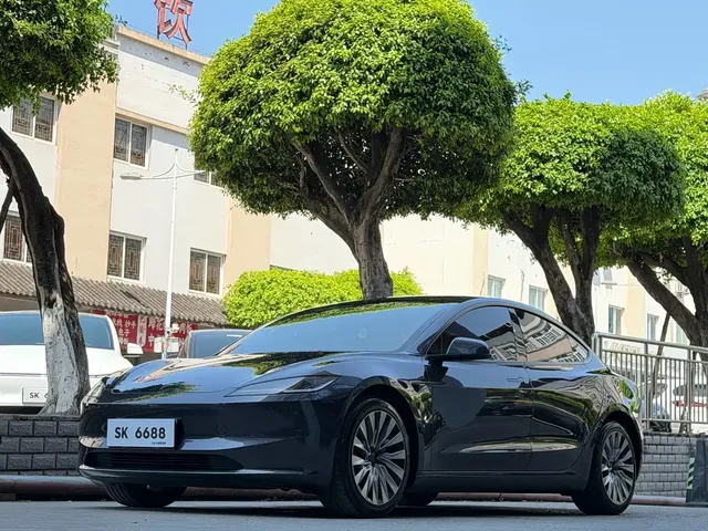 Tesla Model 3 2025 Model Rear-Wheel Drive Edition