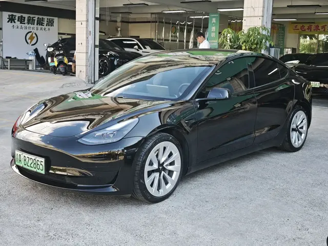 Tesla Model 3 2021 Facelift Standard Range RWD Upgrade 3D1