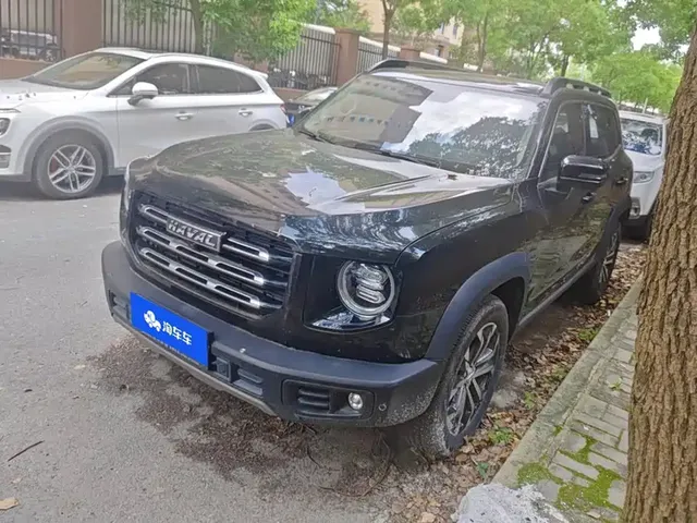 Haval Big Dog 2021 1.5T DCT 2WD Border Collie Edition