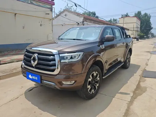 Great Wall Pao 2021 2.0T Passenger Global Edition Automatic Gasoline 4WD Comfort Standard Box GW4C20B