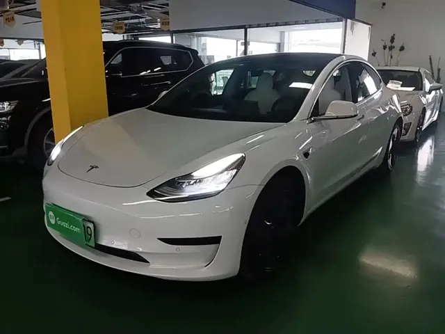Tesla Model 3 (Import) 2019 Long Range RWD Version