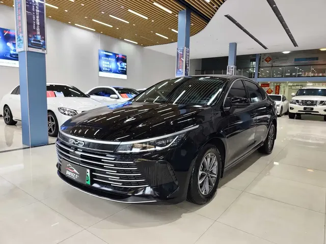 BYD Destroyer 05 2024 Glory Edition DM-i 55KM Luxury