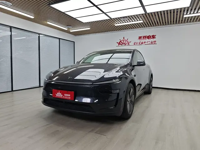 Tesla Model Y 2025 Rear-Wheel Drive