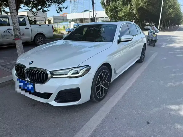 BMW 5 Series 2021 530Li Premium M Sport Package