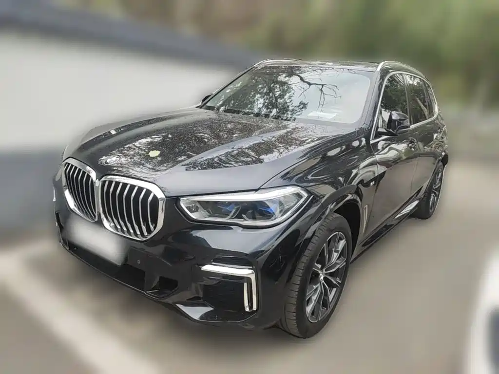 BMW X5 2022 xDrive 30Li Premium M Sport Package