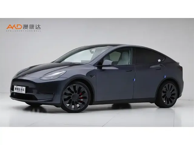 Tesla Model Y 2022 Performance High-Performance All-Wheel Drive Version