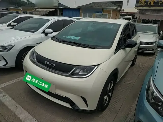 BYD Dolphin 2024 Glory Edition 420km Freedom Edition