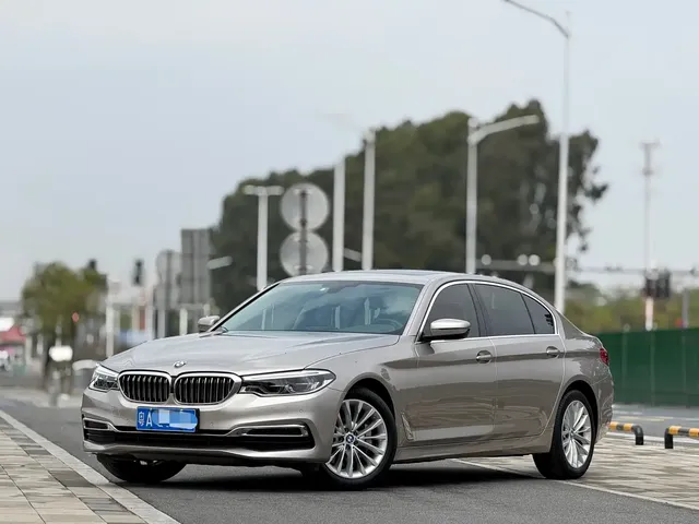 BMW 5 Series 2020 530Li Leading Luxury Package