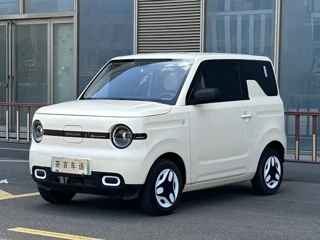 Geely Galaxy Panda 2025 Panda mini 210km Vitality Bear
