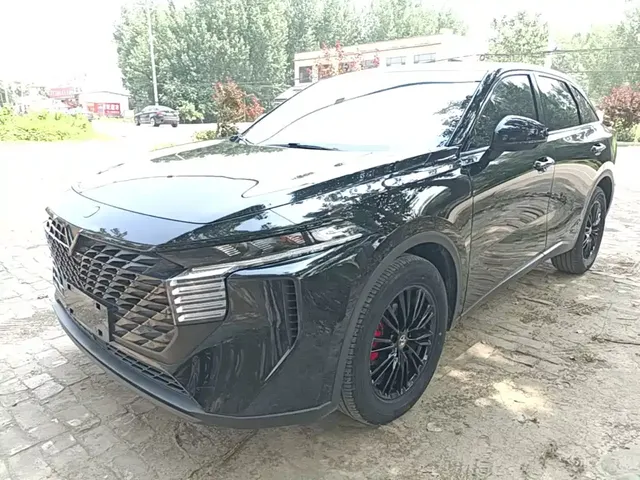Venucia Big V 2023 260T Dark Horse Edition Pro